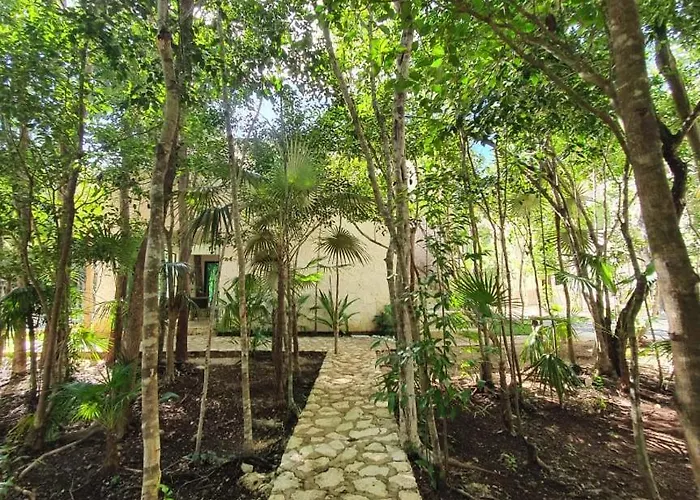 With A Private Pool Tulum